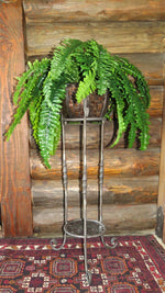 Double Plant Stand