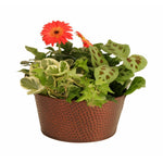 Wald Imports Round Copper Hammered Metal 10.5" Beverage Bucket Tub Ice Buckets Kitchen Accessory